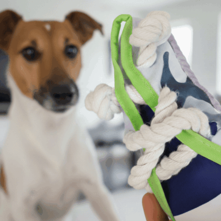 Juguete en Forma de Zapato con Sonido – Patitas Love You